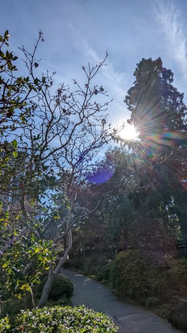 PXL_20220129_194701653